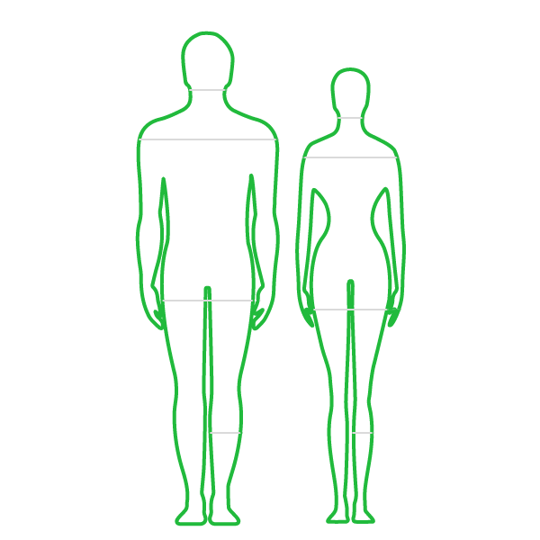 Вычислить пропорциональность мужской и женской фигуры.